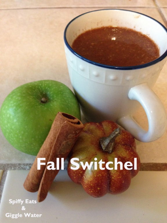 fall cider switchel. switchel is a healthy drink. 