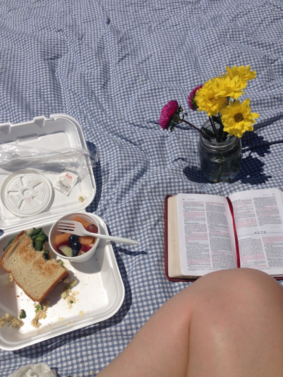 Spring picnic. Reading. Easter.